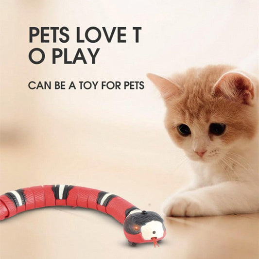 Interactive Electric Induction Snake Funny Cat Toy -