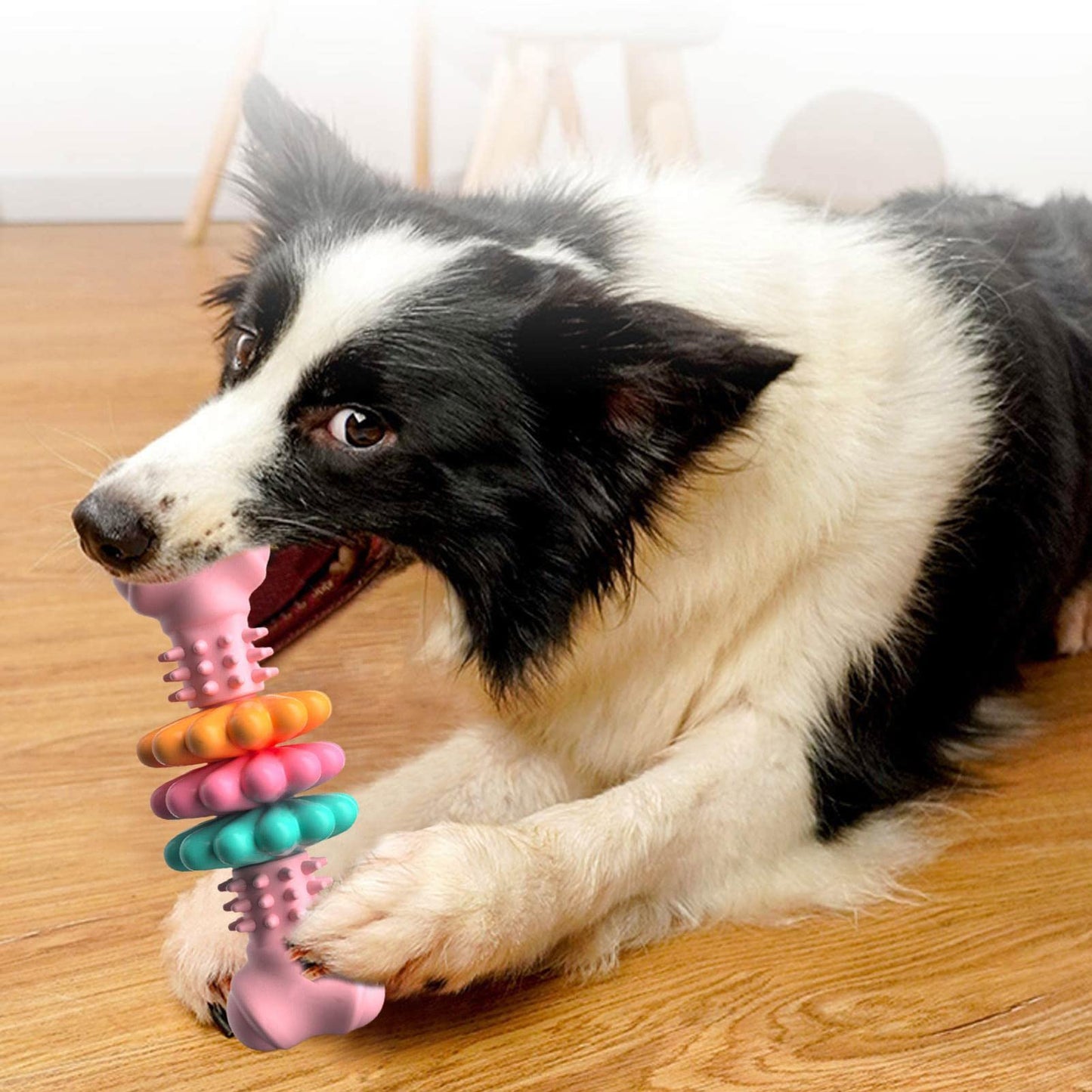 Dog Chew Toy Bone – Teeth Cleaning & Indestructible TPR
