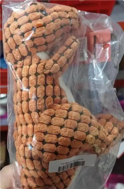 Dinosaur Plush Dog Toy with Squeaker - 