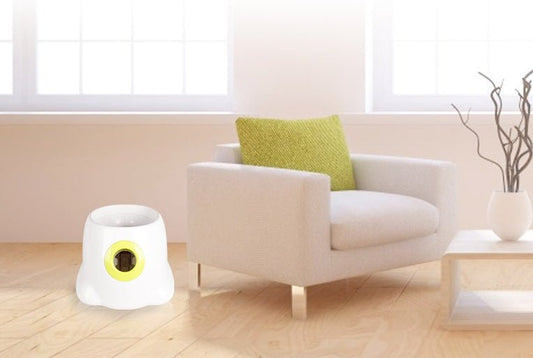 Dog Pet Automatic Interactive Ball Launcher - 