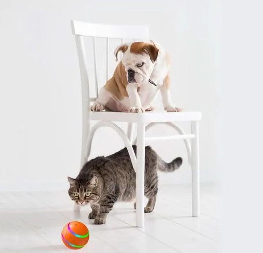 interactive cat ball toy Cat Ball Toy USB Rechargeable - 