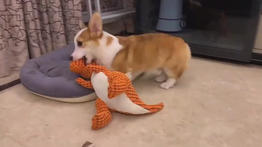 Dinosaur Plush Dog Toy with Squeaker.