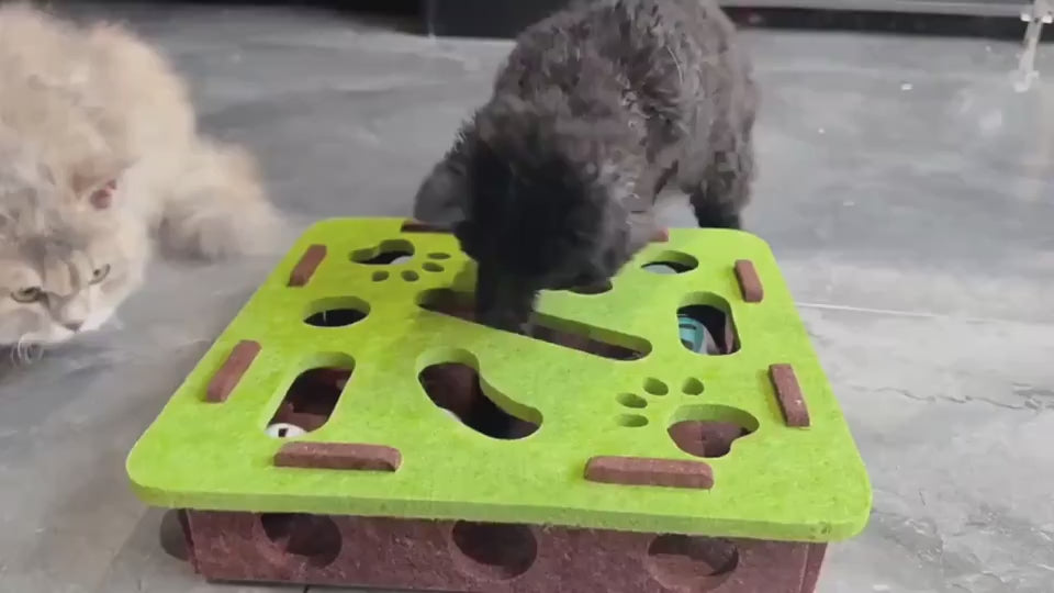 Interactive Cat Puzzle Toy Indoor Maze & Bell Ball.