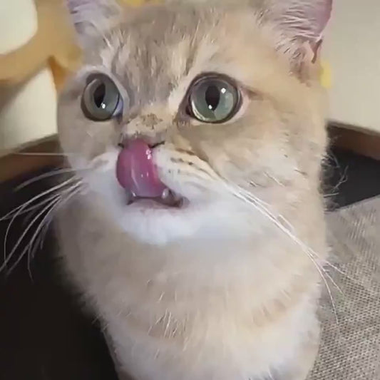 Self-Cleaning Cat & Dog Grooming Comb.